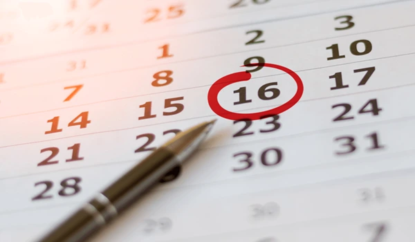 Sipani City Launch Date